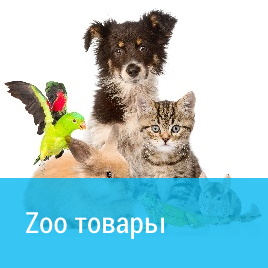 Zoo товары